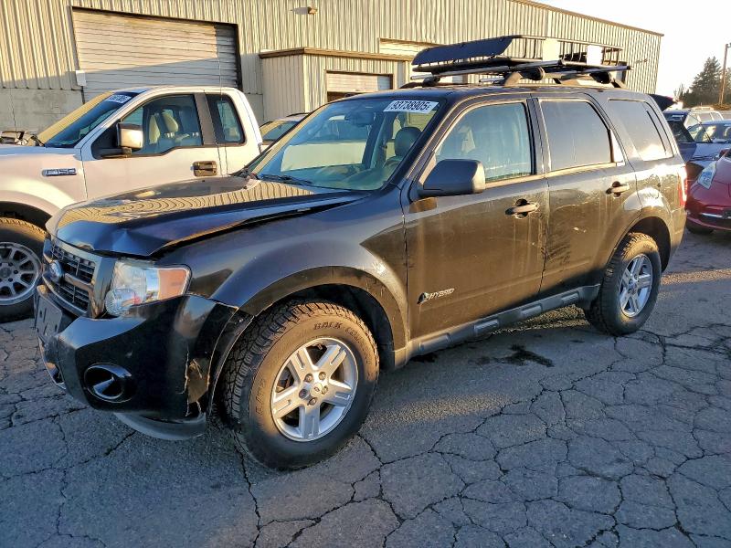 Global Auto Auctions: 2009 FORD ESCAPE HYB