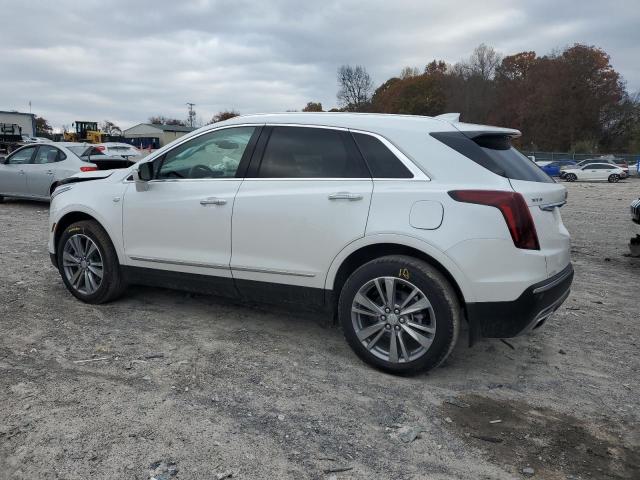 2025 CADILLAC XT5 PREMIU #3311690235
