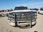 Lot #3316106233 2016 CHEVROLET SILVERADO