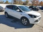 Lot #3293437431 2014 FORD ESCAPE SE