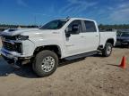 Lot #3301735336 2024 CHEVROLET SILVERADO
