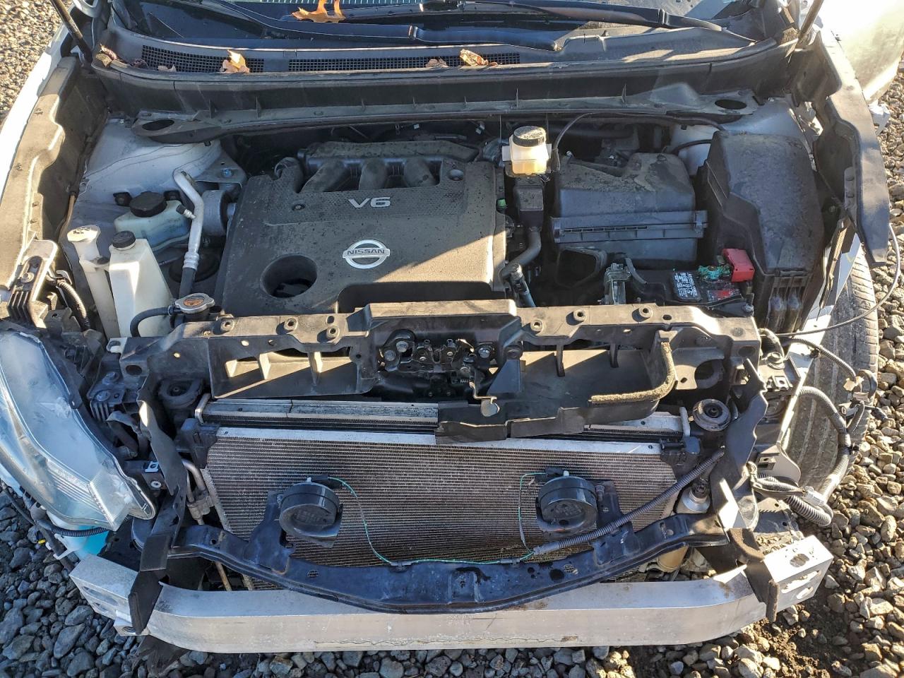 Lot #3318108370 2010 NISSAN MURANO S