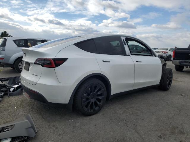 2021 TESLA MODEL Y #3305460089