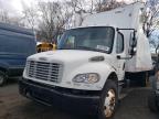Lot #3303877699 2008 FREIGHTLINER M2 106 MED