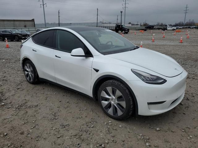2021 TESLA MODEL Y #3296892861