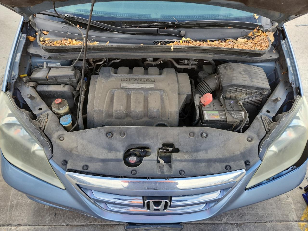 Lot #3308818000 2006 HONDA ODYSSEY EX