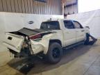 Lot #3305294302 2019 TOYOTA TACOMA DOU