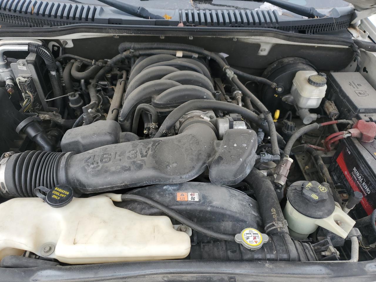 Lot #3297321402 2008 FORD EXPLORER E