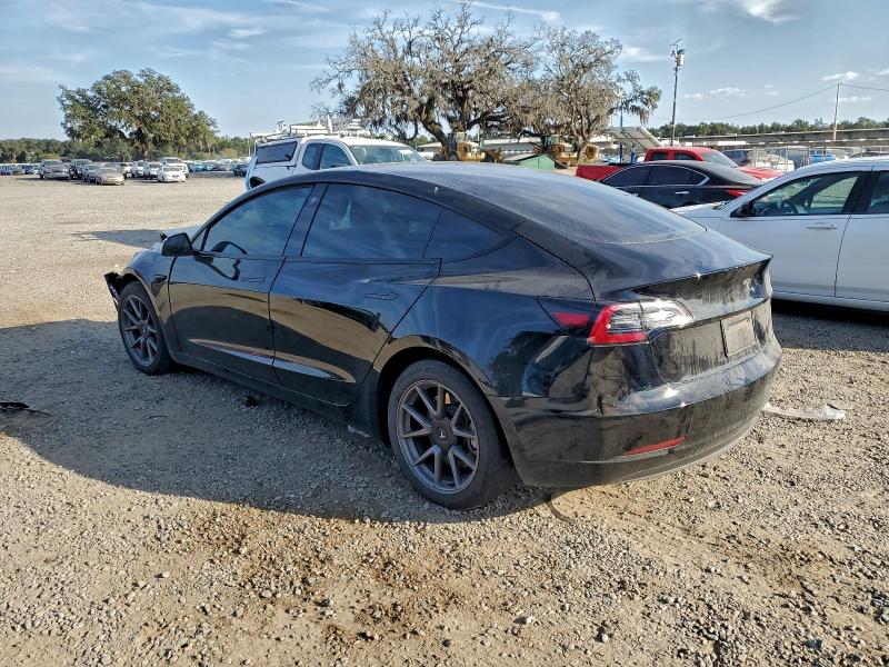 2023 TESLA MODEL 3 #3301752353