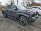Lot #3297870784 2024 TOYOTA TACOMA DOU