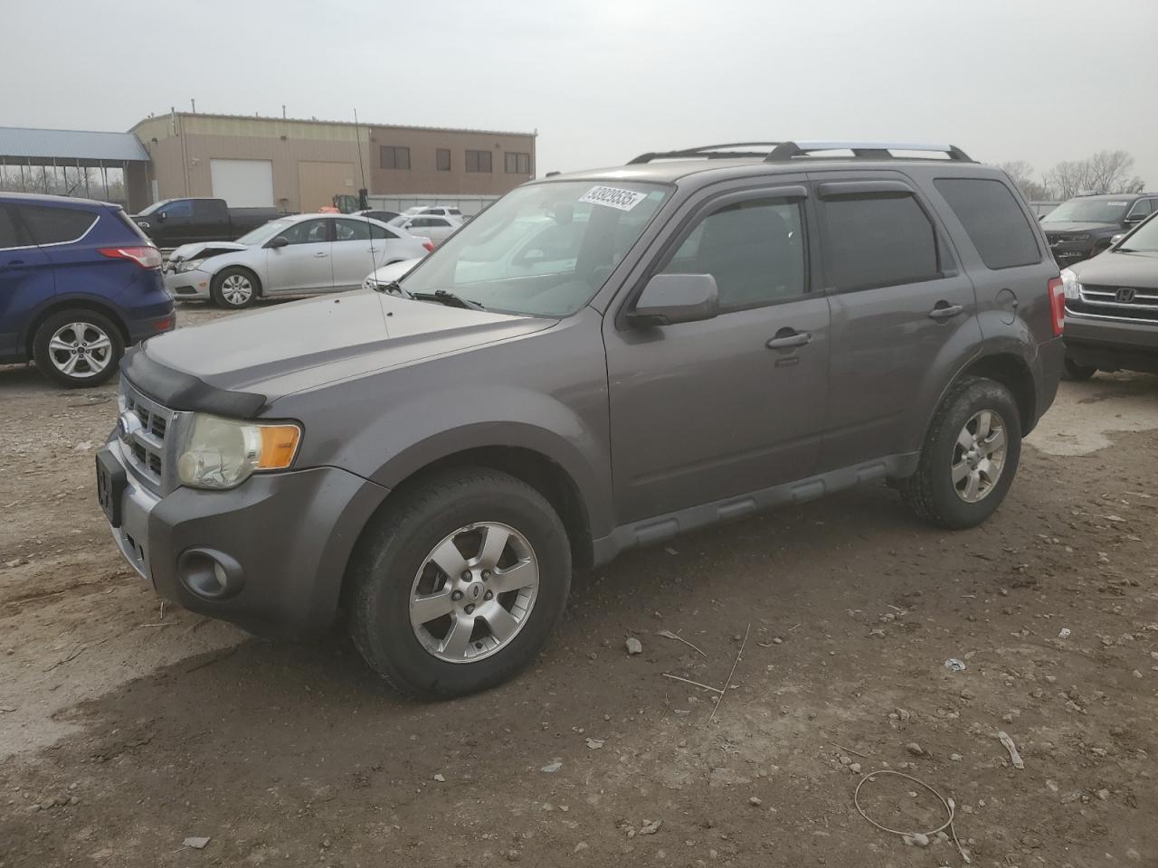Lot #3302921059 2011 FORD ESCAPE LIM