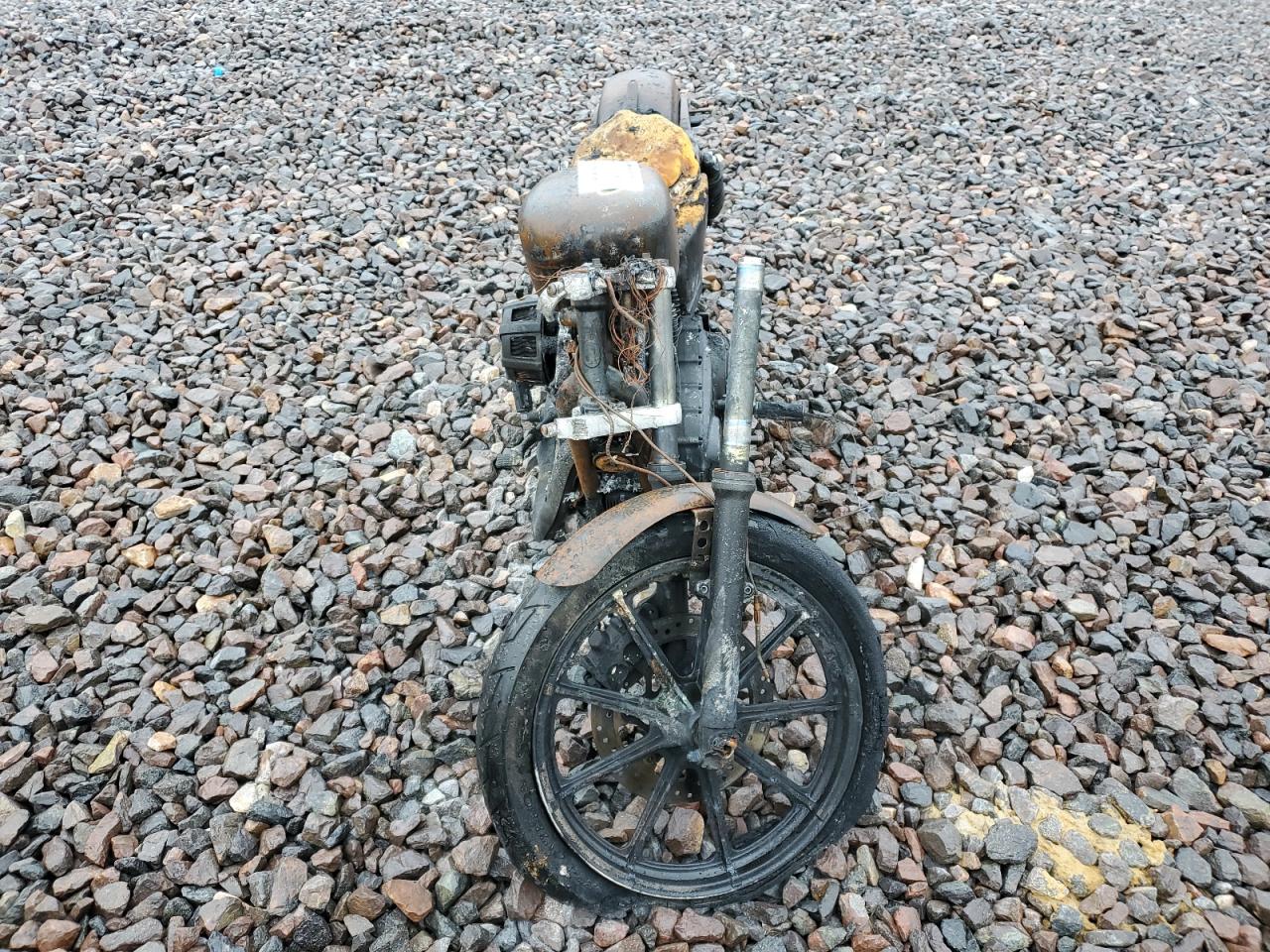 Lot #3294485498 2018 HARLEY-DAVIDSON XL883 IRON