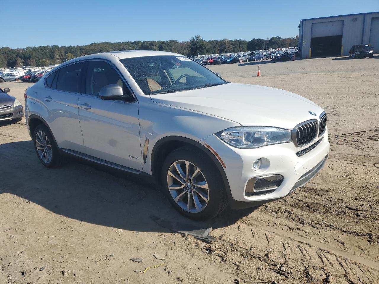 BMW X6 XDRIVE35I