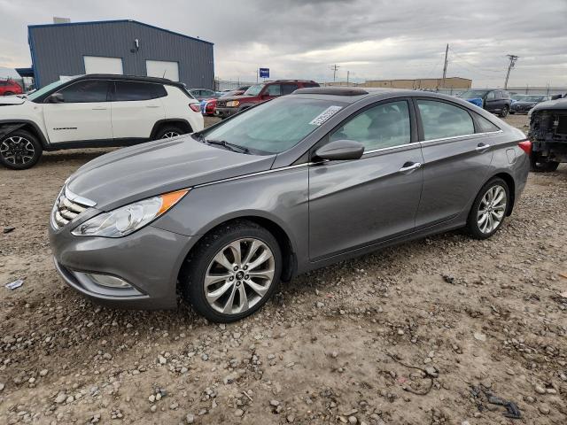 Global Auto Auctions: 2013 HYUNDAI SONATA SE