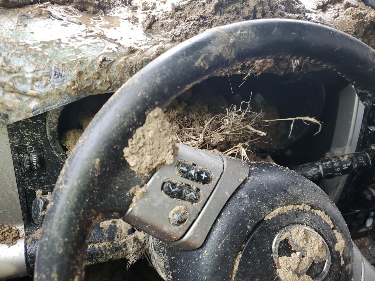 Lot #3303556026 2007 TOYOTA FJ CRUISER