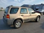 Lot #3316737460 2007 FORD ESCAPE XLS