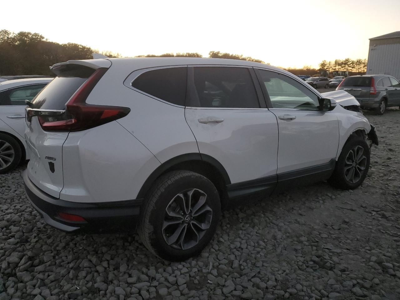 Lot #3309421995 2020 HONDA CR-V EX