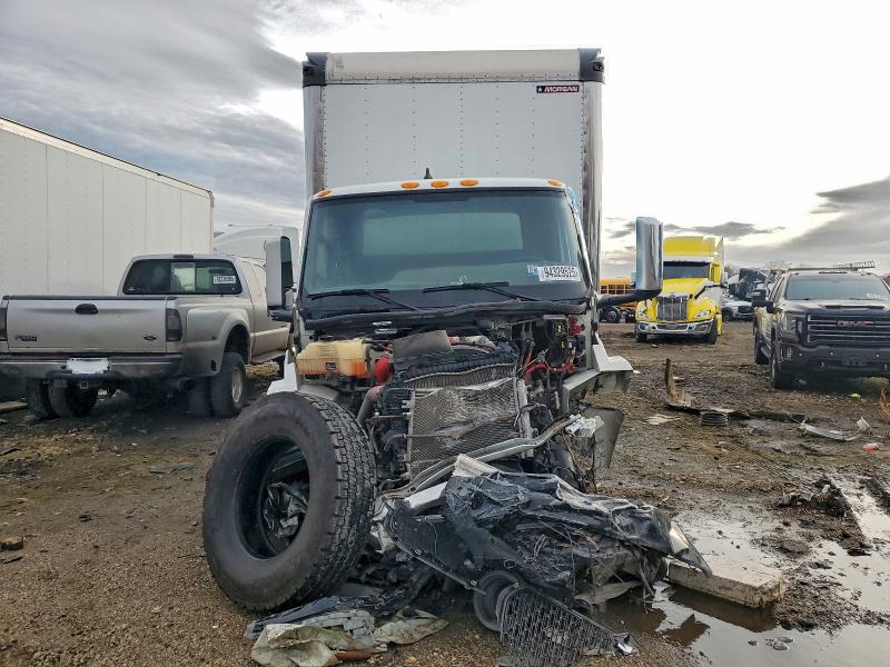 2024 INTERNATIONAL MV607 #3296238423