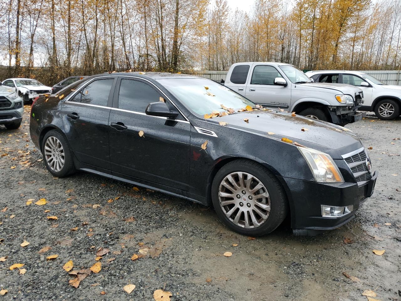 CADILLAC CTS PERFORMANCE COLLECTION