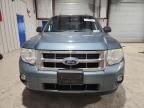 Lot #3303575931 2012 FORD ESCAPE XLT