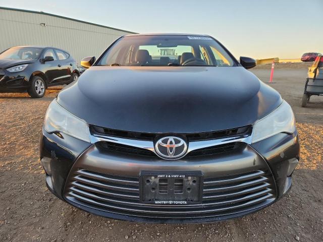 2016 TOYOTA CAMRY LE - 4T1BF1FK3GU205509