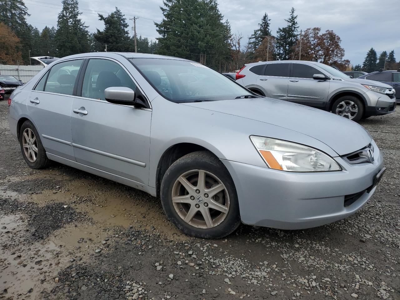 Lot #3311656252 2004 HONDA ACCORD EX