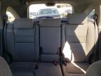 Lot #3303773436 2007 HONDA CR-V EX