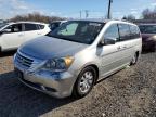 Lot #3292514691 2009 HONDA ODYSSEY EX