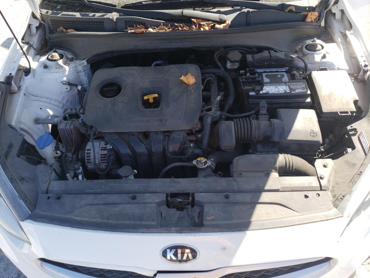 KIA FORTE FE