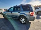 Lot #3312533614 2010 FORD ESCAPE XLT