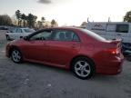 Lot #3293932823 2011 TOYOTA COROLLA BA