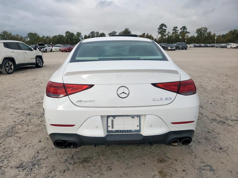 2020 MERCEDES-BENZ CLS AMG 53 #3304505447