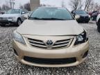 Lot #3305435442 2013 TOYOTA COROLLA BA