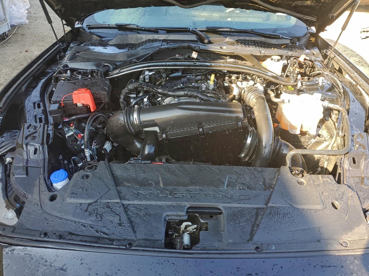 Lot #3303658932 2025 FORD MUSTANG