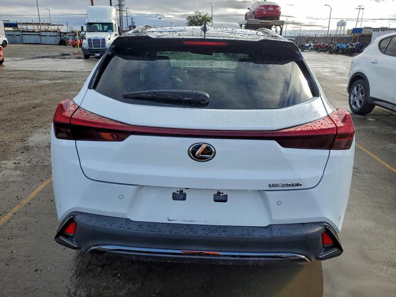 2023 LEXUS UX 250H BA #3296212463