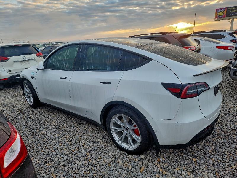 2022 TESLA MODEL Y #3302701001