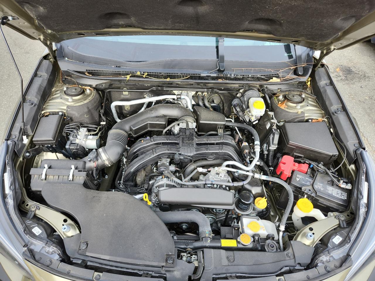 SUBARU OUTBACK LIMITED