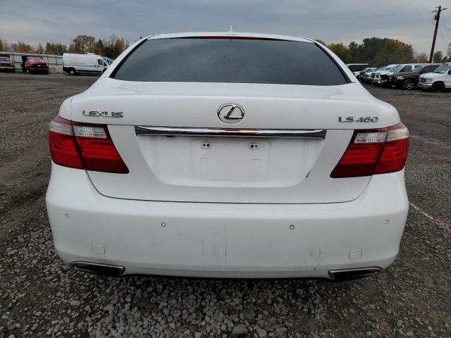 2008 LEXUS LS 460 #3293270424