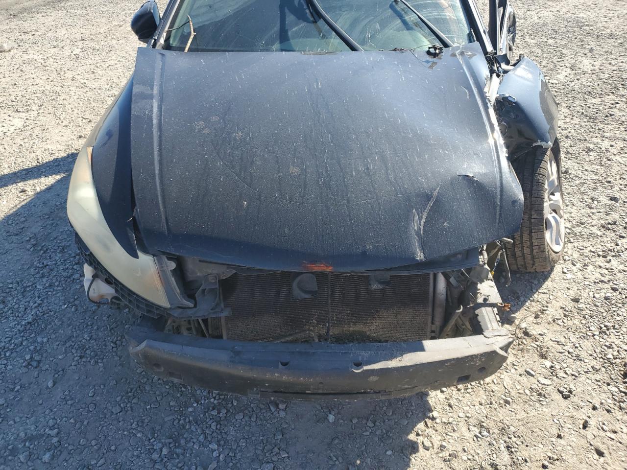 Lot #3286614884 2009 HONDA ACCORD EXL