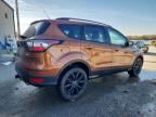 Lot #3296395660 2017 FORD ESCAPE SE