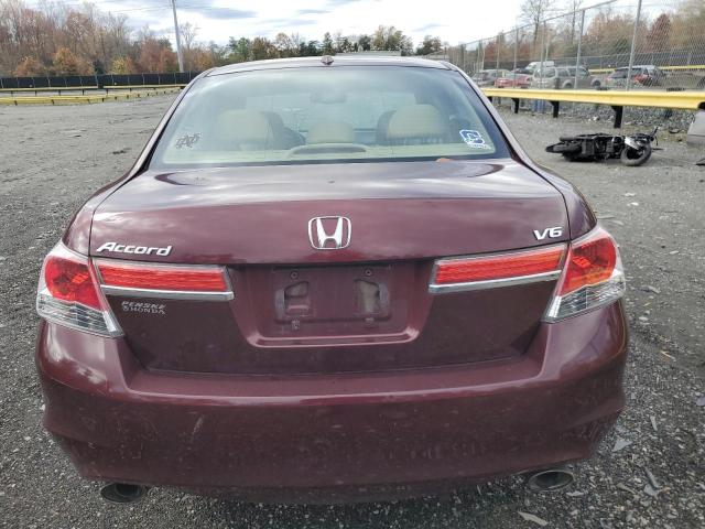 2011 HONDA ACCORD EXL #3294254880