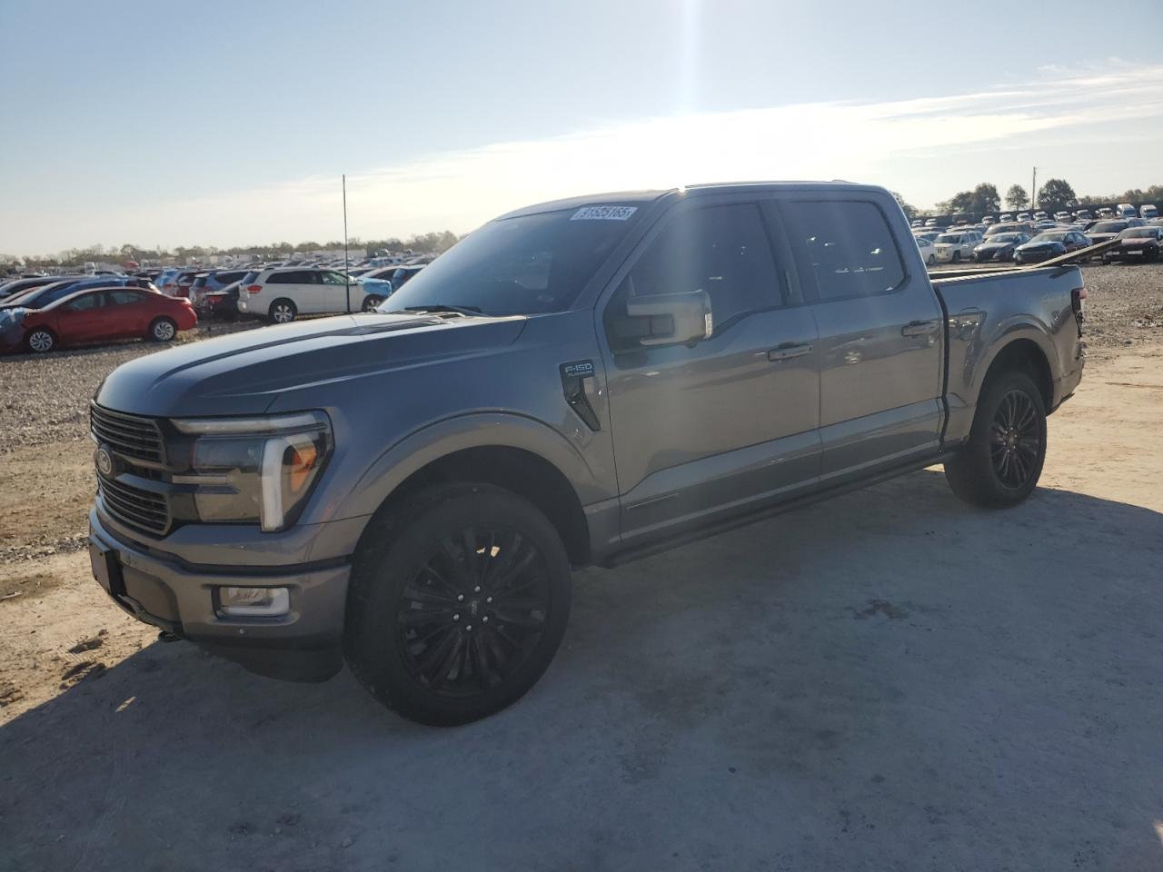 FORD F-150 PLATINUM