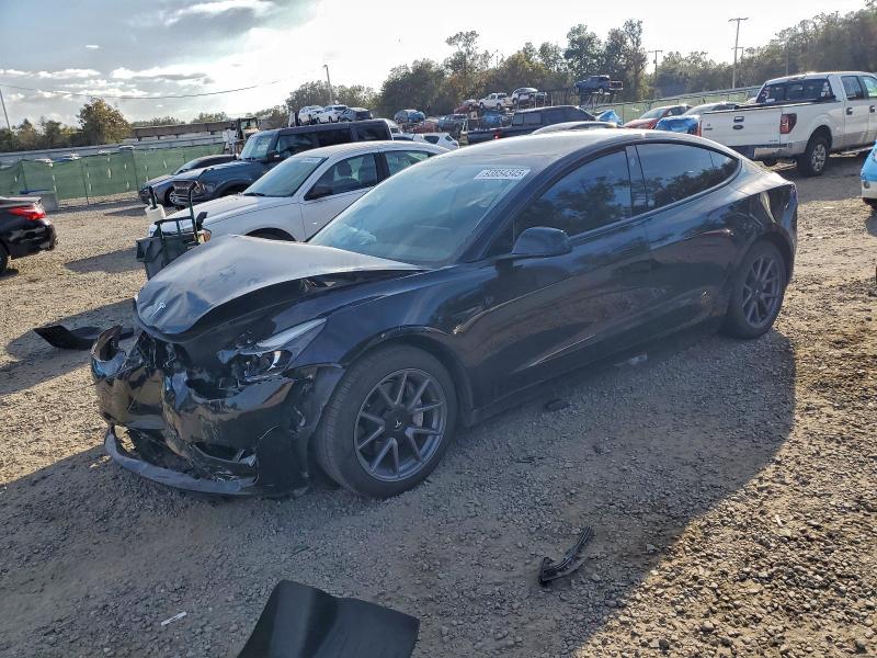 2023 TESLA MODEL 3 #3301752353