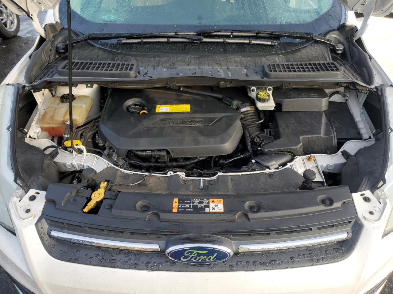 Lot #3290255232 2016 FORD ESCAPE SE