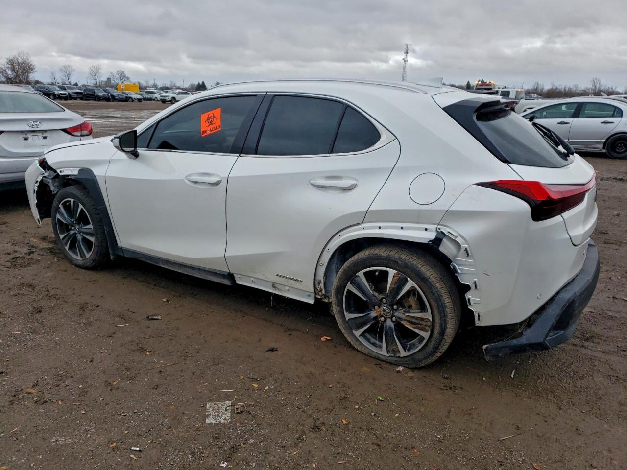 LEXUS UX 250H