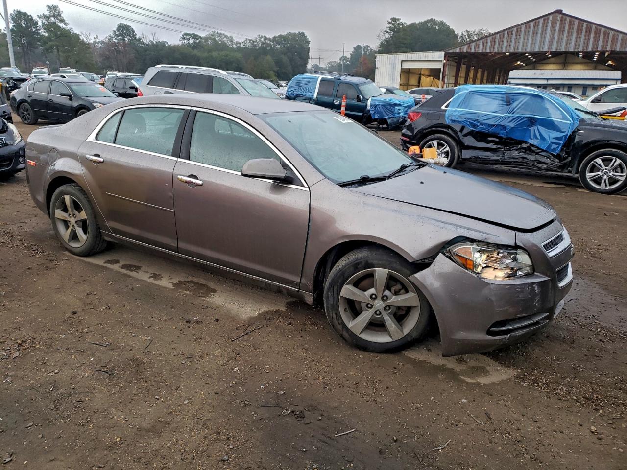 CHEVROLET MALIBU 1LT
