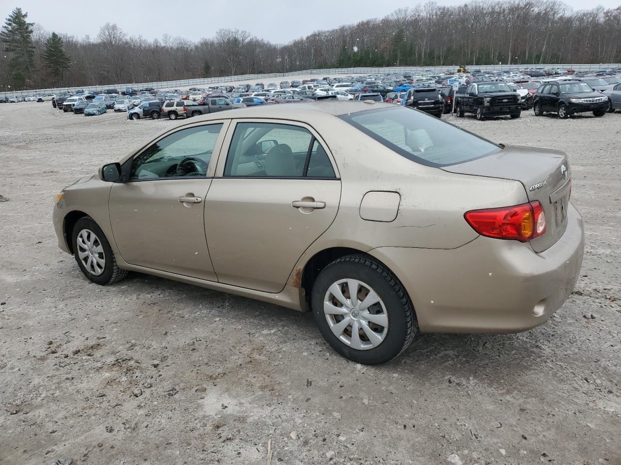 Lot #3317793135 2010 TOYOTA COROLLA BA