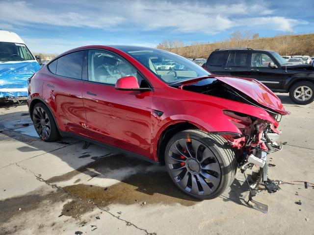 2025 TESLA MODEL Y #3292906586