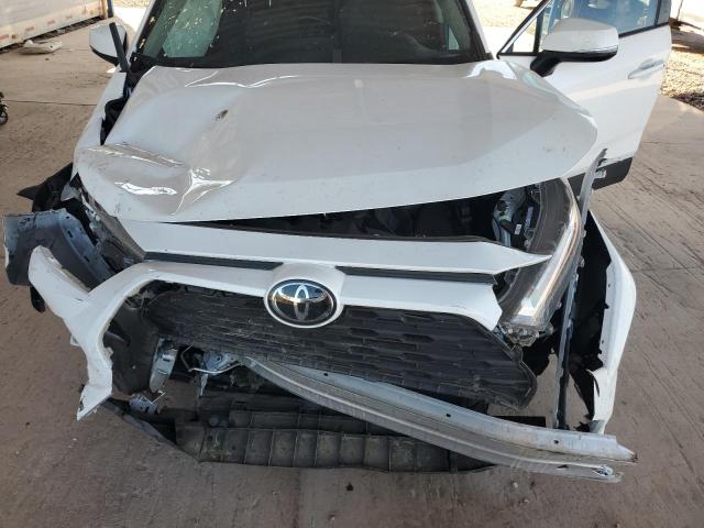 2023 TOYOTA RAV4 XLE #3303847568