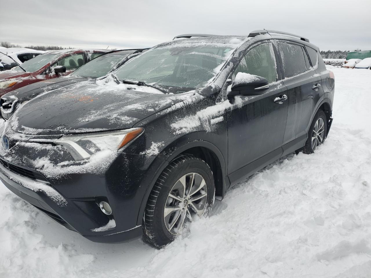 TOYOTA RAV4 LE